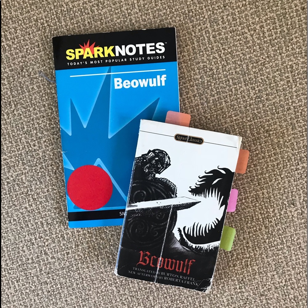 Beowolf paperback Book/Spark Notes Bundle.